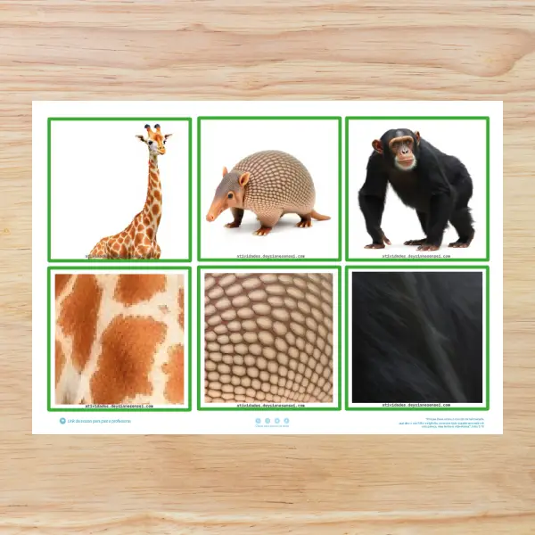 atividade_pareamento_de_cores_educa_o_infantil_jogo_pareamento_de_cores_para_imprimir (2) Cards dos animais e a cobertura do corpo para imprimir Atividade sobre cobertura corporal dos animais em PDF Cards de animais para recortar e usar na educação infantil Jogo de associação dos animais e suas características Atividade de Ciências sobre pelos penas e escamas Jogo educativo dos animais para crianças pequenas Cards de animais para classificação na educação infantil Atividade lúdica sobre os animais para maternal e pré-escola Jogo da memória com animais para imprimir Atividade de associação de animais para crianças Material pedagógico sobre animais e natureza em PDF Cards de Ciências para professoras da educação infantil Atividades sobre características dos animais para imprimir Jogo de classificação dos animais por cobertura corporal Atividade de observação e comparação de animais Cards educativos de animais para usar em casa e na escola Atividade de aprendizagem sobre animais terrestres e aquáticos Recurso pedagógico para trabalhar os animais na pré-escola Jogo de linguagem oral com cards de animais Atividade de Ciências com 15 animais para recortar e associar