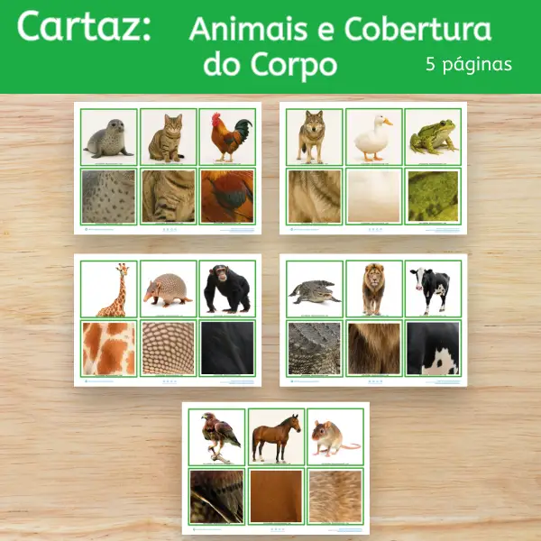 Cards dos animais e a cobertura do corpo para imprimir Atividade sobre cobertura corporal dos animais em PDF Cards de animais para recortar e usar na educação infantil Jogo de associação dos animais e suas características Atividade de Ciências sobre pelos penas e escamas Jogo educativo dos animais para crianças pequenas Cards de animais para classificação na educação infantil Atividade lúdica sobre os animais para maternal e pré-escola Jogo da memória com animais para imprimir Atividade de associação de animais para crianças Material pedagógico sobre animais e natureza em PDF Cards de Ciências para professoras da educação infantil Atividades sobre características dos animais para imprimir Jogo de classificação dos animais por cobertura corporal Atividade de observação e comparação de animais Cards educativos de animais para usar em casa e na escola Atividade de aprendizagem sobre animais terrestres e aquáticos Recurso pedagógico para trabalhar os animais na pré-escola Jogo de linguagem oral com cards de animais Atividade de Ciências com 15 animais para recortar e associar