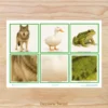 atividade_pareamento_de_cores_educa_o_infantil_jogo_pareamento_de_cores_para_imprimir (3) Cards dos animais e a cobertura do corpo para imprimir Atividade sobre cobertura corporal dos animais em PDF Cards de animais para recortar e usar na educação infantil Jogo de associação dos animais e suas características Atividade de Ciências sobre pelos penas e escamas Jogo educativo dos animais para crianças pequenas Cards de animais para classificação na educação infantil Atividade lúdica sobre os animais para maternal e pré-escola Jogo da memória com animais para imprimir Atividade de associação de animais para crianças Material pedagógico sobre animais e natureza em PDF Cards de Ciências para professoras da educação infantil Atividades sobre características dos animais para imprimir Jogo de classificação dos animais por cobertura corporal Atividade de observação e comparação de animais Cards educativos de animais para usar em casa e na escola Atividade de aprendizagem sobre animais terrestres e aquáticos Recurso pedagógico para trabalhar os animais na pré-escola Jogo de linguagem oral com cards de animais Atividade de Ciências com 15 animais para recortar e associar