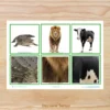 atividade_pareamento_de_cores_educa_o_infantil_jogo_pareamento_de_cores_para_imprimir (4) Cards dos animais e a cobertura do corpo para imprimir Atividade sobre cobertura corporal dos animais em PDF Cards de animais para recortar e usar na educação infantil Jogo de associação dos animais e suas características Atividade de Ciências sobre pelos penas e escamas Jogo educativo dos animais para crianças pequenas Cards de animais para classificação na educação infantil Atividade lúdica sobre os animais para maternal e pré-escola Jogo da memória com animais para imprimir Atividade de associação de animais para crianças Material pedagógico sobre animais e natureza em PDF Cards de Ciências para professoras da educação infantil Atividades sobre características dos animais para imprimir Jogo de classificação dos animais por cobertura corporal Atividade de observação e comparação de animais Cards educativos de animais para usar em casa e na escola Atividade de aprendizagem sobre animais terrestres e aquáticos Recurso pedagógico para trabalhar os animais na pré-escola Jogo de linguagem oral com cards de animais Atividade de Ciências com 15 animais para recortar e associar