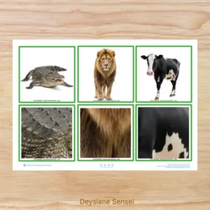 Cards dos animais e a cobertura do corpo para imprimir Atividade sobre cobertura corporal dos animais em PDF Cards de animais para recortar e usar na educação infantil Jogo de associação dos animais e suas características Atividade de Ciências sobre pelos penas e escamas Jogo educativo dos animais para crianças pequenas Cards de animais para classificação na educação infantil Atividade lúdica sobre os animais para maternal e pré-escola Jogo da memória com animais para imprimir Atividade de associação de animais para crianças Material pedagógico sobre animais e natureza em PDF Cards de Ciências para professoras da educação infantil Atividades sobre características dos animais para imprimir Jogo de classificação dos animais por cobertura corporal Atividade de observação e comparação de animais Cards educativos de animais para usar em casa e na escola Atividade de aprendizagem sobre animais terrestres e aquáticos Recurso pedagógico para trabalhar os animais na pré-escola Jogo de linguagem oral com cards de animais Atividade de Ciências com 15 animais para recortar e associar